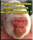 Avatar de l’utilisateur