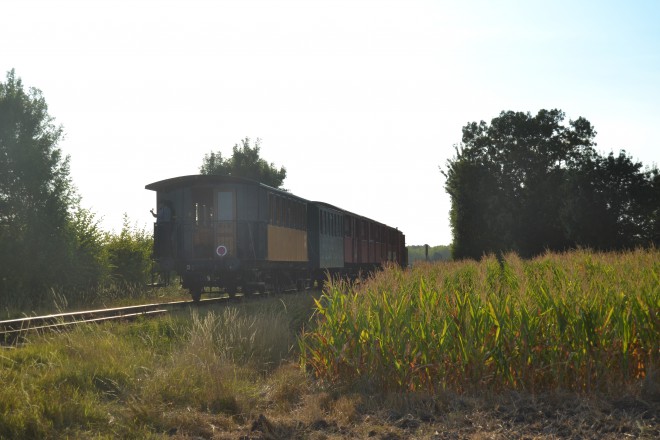 DSC_0316.JPG