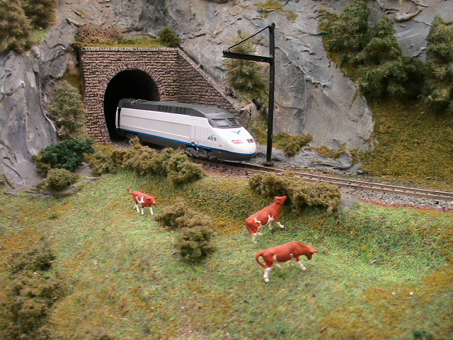 PHOTOARCHIVES 2009 02 012.jpg