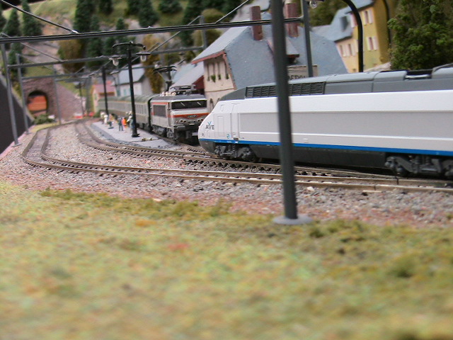 PHOTOARCHIVES 2009 02 020.jpg