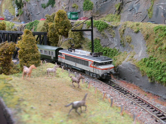 PHOTOARCHIVES 2009 02 023.jpg