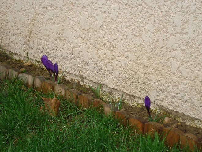 DSC04983_.JPG