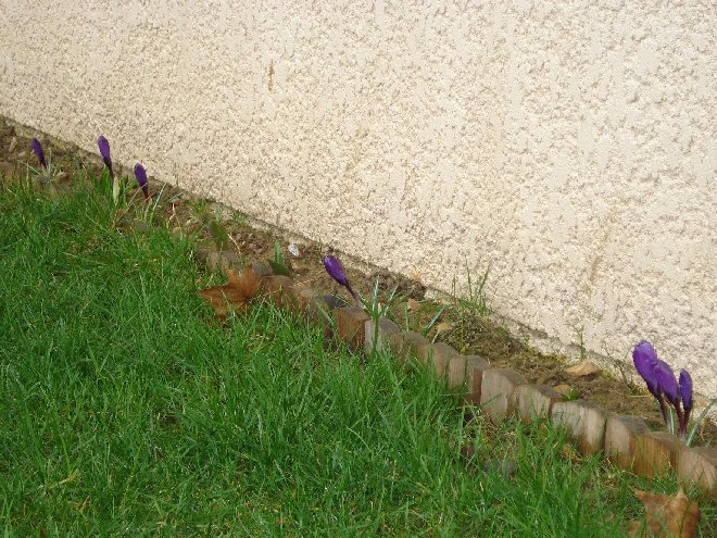 DSC04984_.JPG