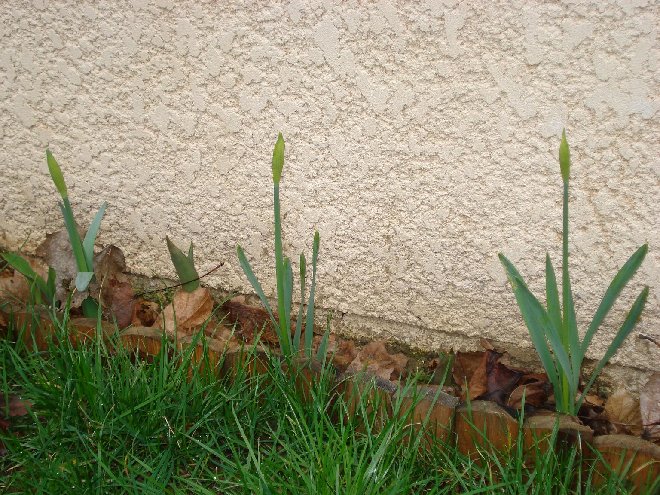 DSC04988_.JPG