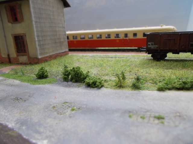 DSCN0693a.JPG