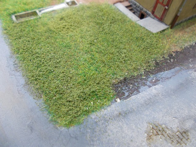 DSCN0695a.JPG