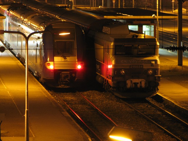 tgr2.jpg