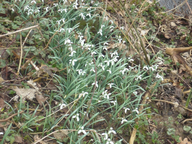 P1030806_PhotoRedukto.jpg