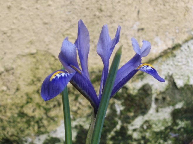 P3050003.JPG