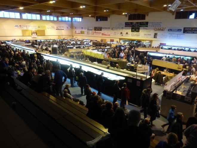 P1030647.JPG