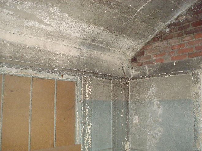 DSC04999_.JPG
