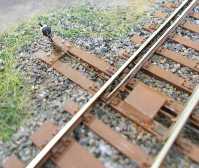 DSCN0940a.JPG