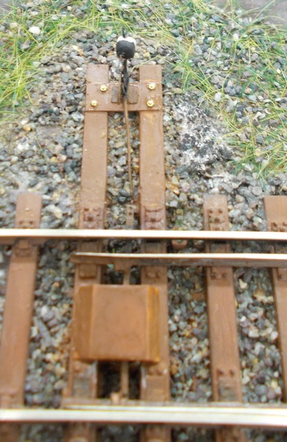 DSCN0945a.JPG