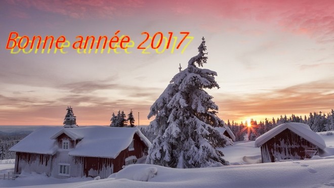 winter.jpg