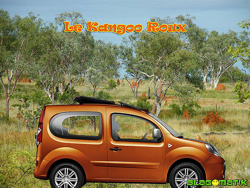 kangoo roux.jpg