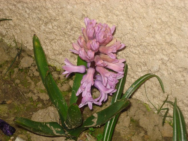DSC05020_.JPG