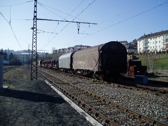 P3120069.JPG
