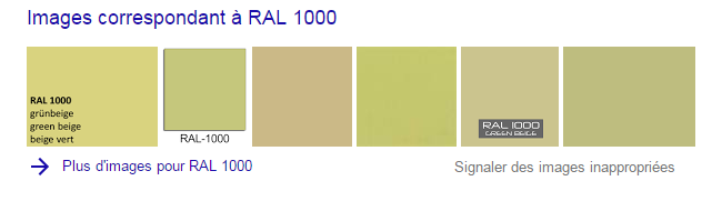 RAL 1000.PNG
