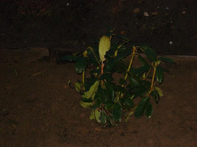 DSC05037_.JPG