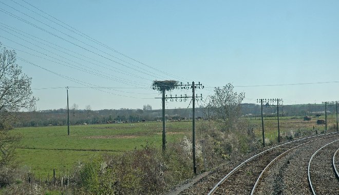 DSC_2058rw.jpg