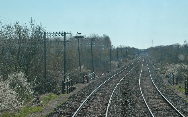 DSC_2061rw.jpg
