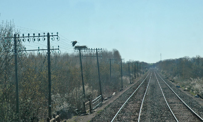 DSC_2062rw.jpg