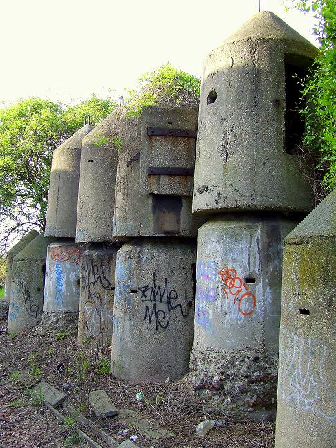 dscf8713.jpg