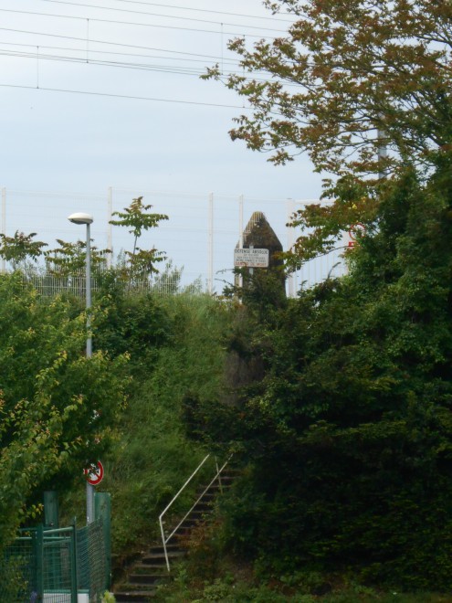 DSCN2511.JPG