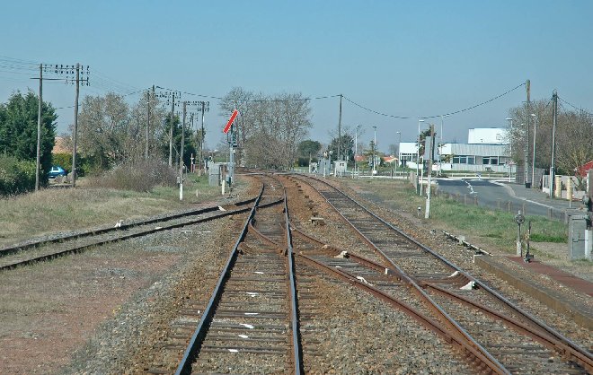 DSC_2073rw.jpg