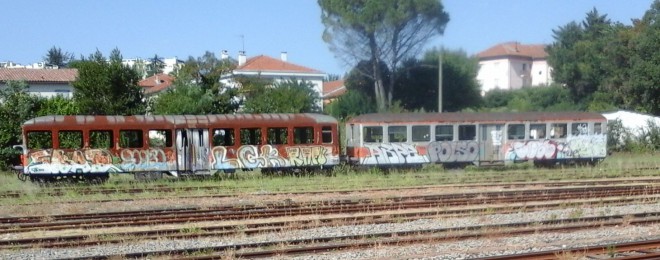 20170730_170713.jpg
