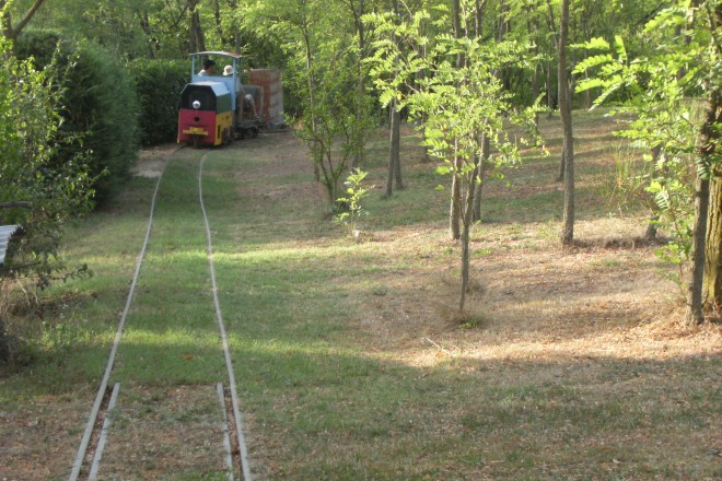 DSCF4381.JPG
