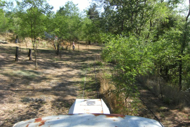 DSCF4393.JPG