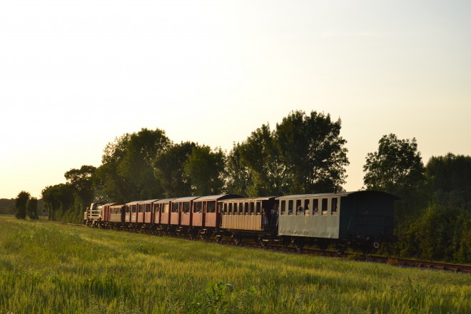 DSC_0250.JPG