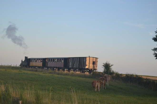 DSC_0476.JPG