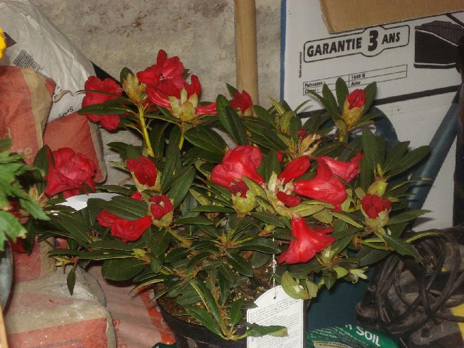 DSC05070_.JPG