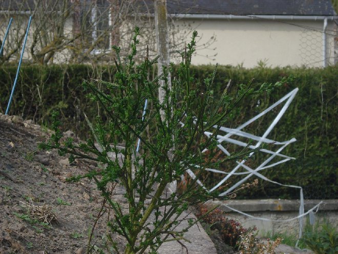 DSC05099_.JPG