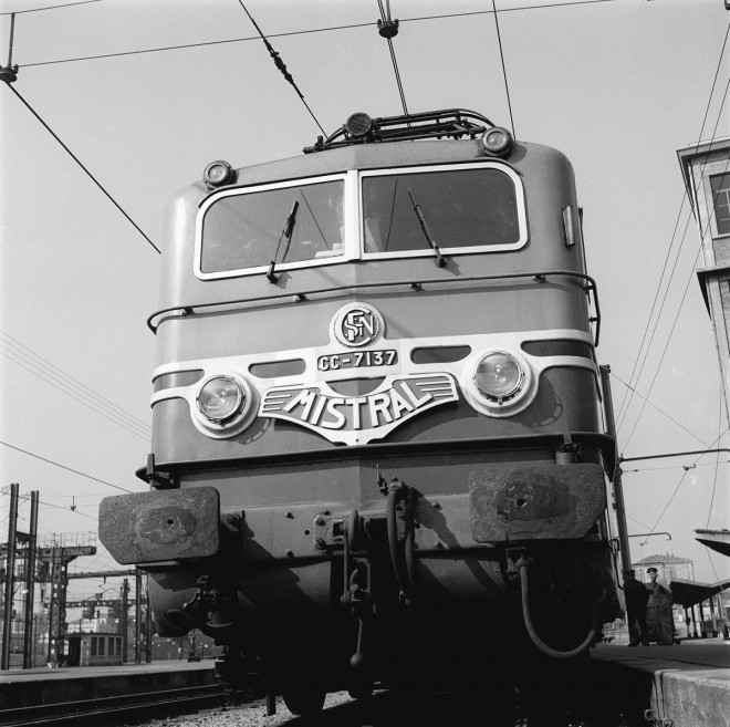 tr_sardo_984.jpg