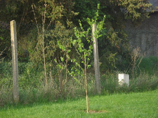 DSC05130_.JPG