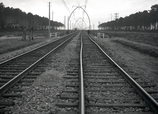 Record-1955_16.jpg