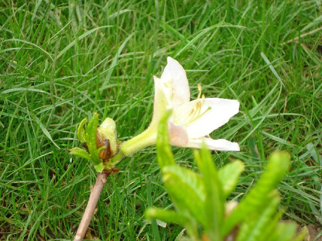 DSC05310.JPG