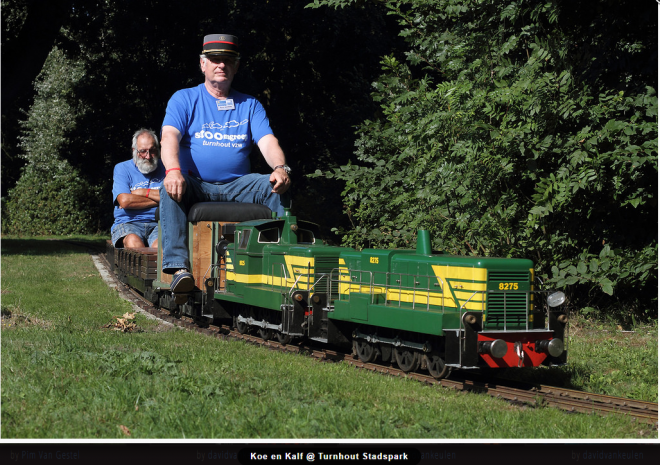 8275 train de jardin.PNG