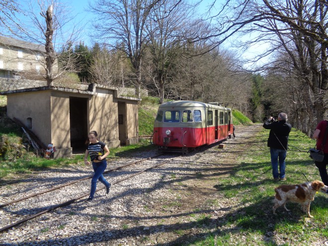 VFV Jonquille 22 4 2018 Nikon (27).JPG