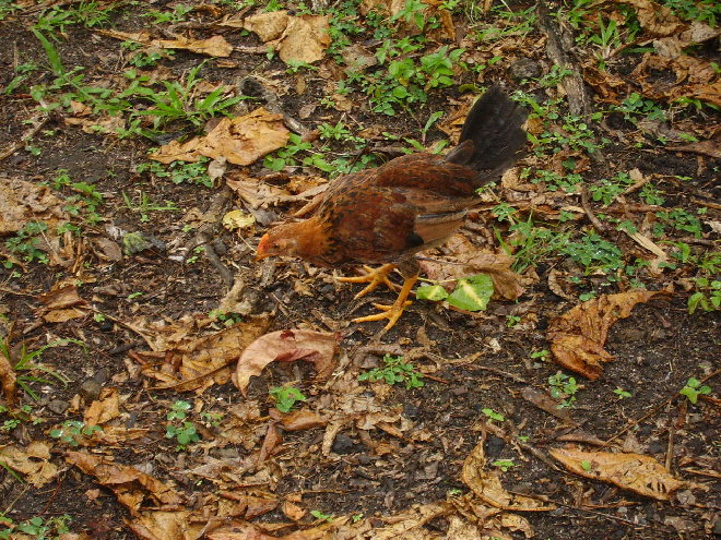 PICT1159.JPG