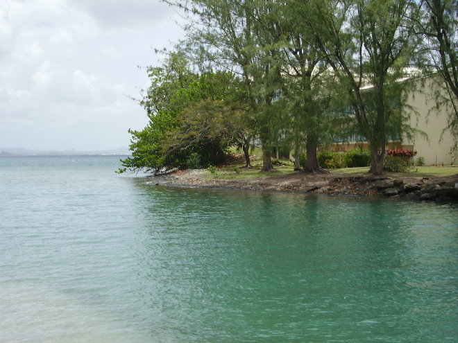PICT1209.JPG