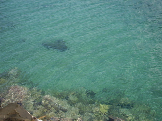 PICT1237.JPG