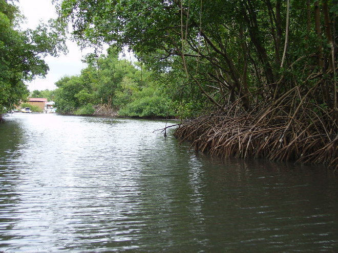 PICT1143.JPG