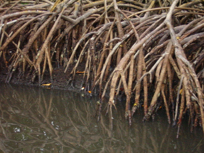 PICT1150.JPG