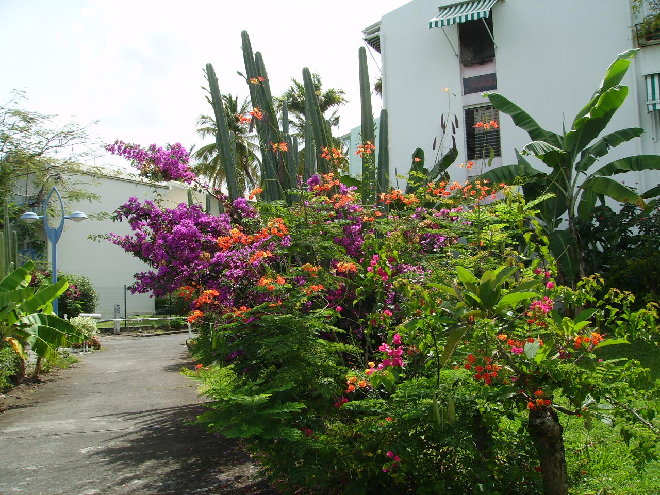 PICT1193.JPG