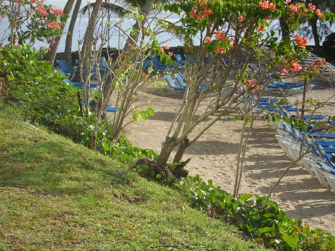PICT1224.JPG