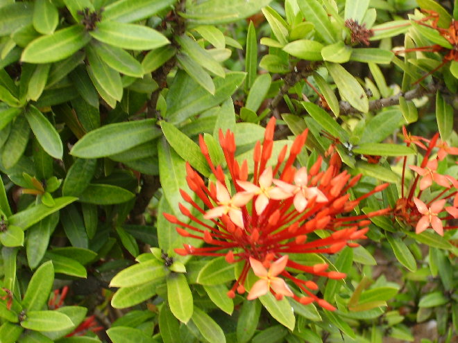 PICT1207.JPG